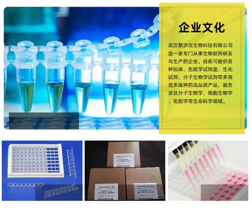 elisa試劑盒現(xiàn)貨電話 本信息長期有效