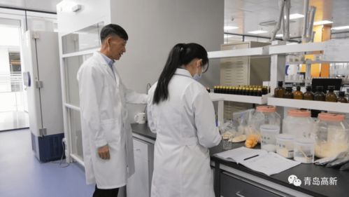 青島高新區(qū) 康邁臣生物科技助力大健康產業(yè)發(fā)展