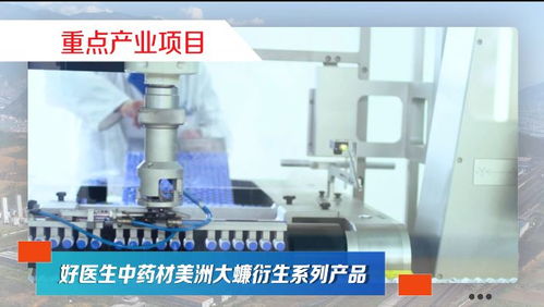 第20集 項目建設(shè)