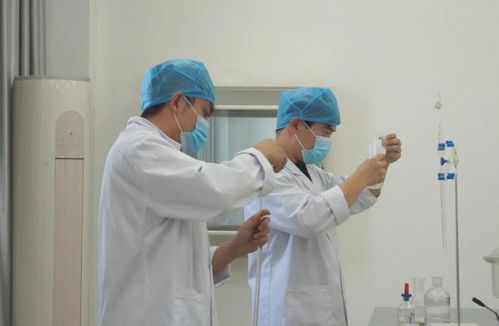 伊吾縣參展企業(yè)開(kāi)啟亞博會(huì)備戰(zhàn)模式