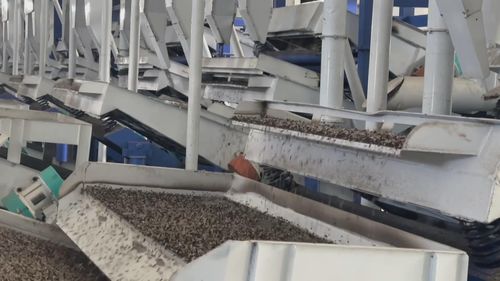 塔城地區(qū)生物科技產(chǎn)業(yè)助力外貿(mào)迎來廣闊發(fā)展機(jī)遇