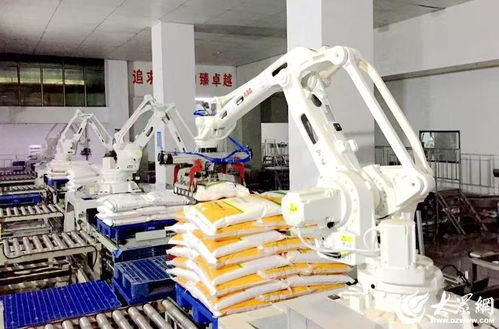 科技賦能，農(nóng)頭工尾 濰坊安丘新安街道鍛造健康食品產(chǎn)業(yè)黃金鏈條